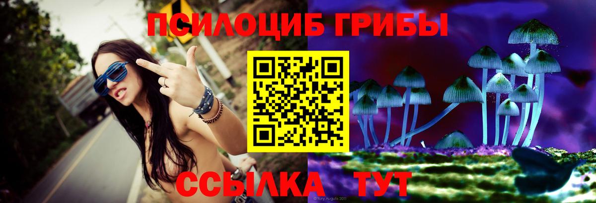 Псилоцибиновые грибы мицелий Клин