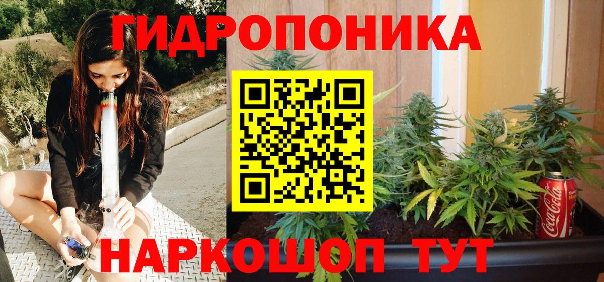 Клин  МАРИХУАНА план  Вход с VPN  Каннабис тримм  Марихуана план 